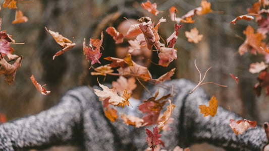 Strengthening Immunity for Autumn: Boost Your Defences with Nutrients and Herbs