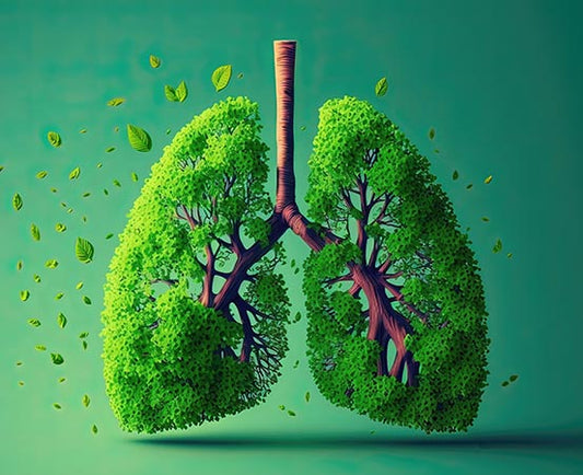 Lung Cleansing - Enhancing Your Respiratory Health