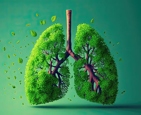 Lung Cleansing - Enhancing Your Respiratory Health