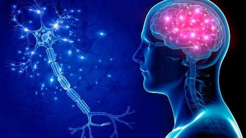 Shining a Light: Epilepsy Awareness Week