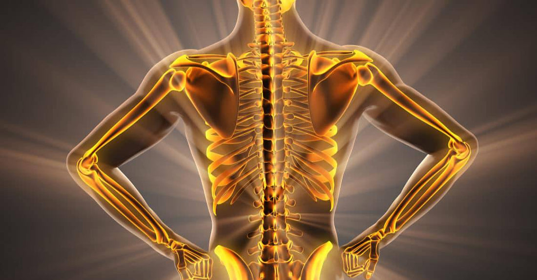 Osteoporosis Awareness: Building Strong Bones Naturally