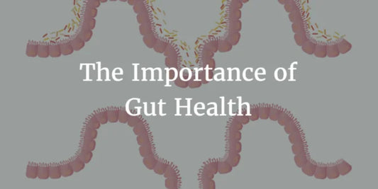 IMPROVING DIGESTIVE HEALTH