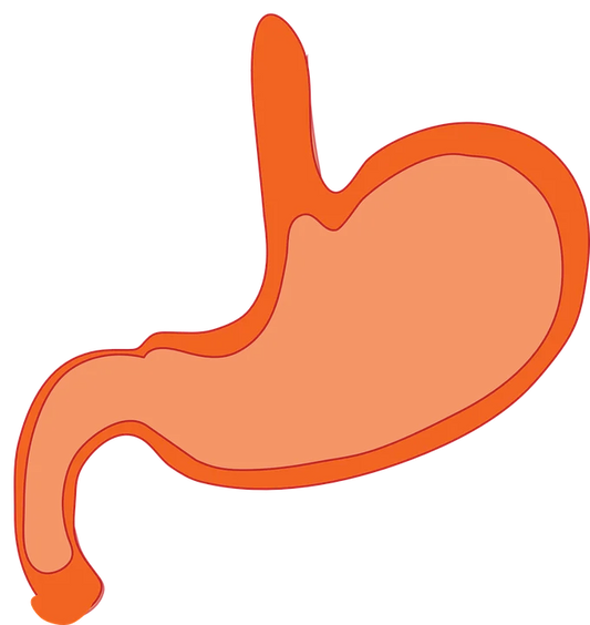 STOMACH ULCERS