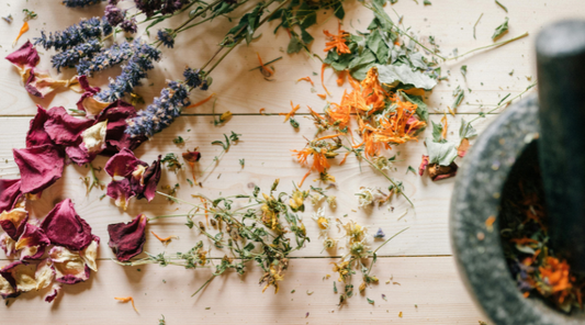 Naturopathy: Fact or Fiction