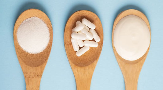 Probiotics vs Prebiotics: What’s the Difference and Why You Need Both