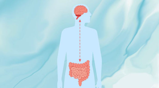 The Gut–Brain Axis: How Your Gut and Mind Work Together