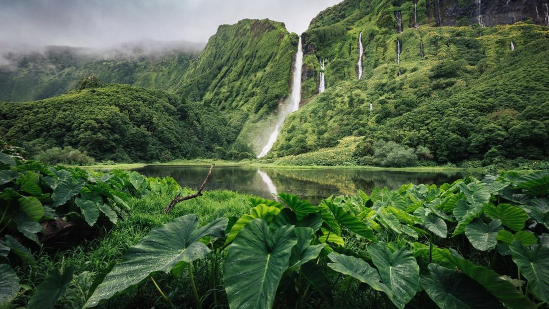 Nature as Medicine: Reconnecting with the Healing Power of the Earth