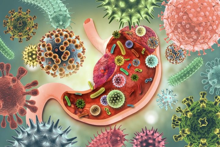 Gut Health Awareness: Nurturing Your Body's Core