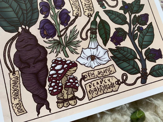 Herbal Shadows: The Poison Path