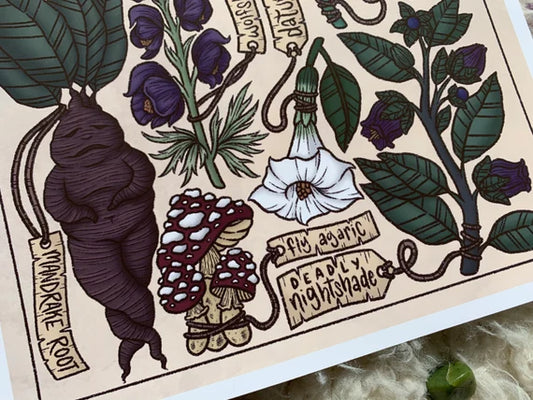 Herbal Shadows: The Poison Path
