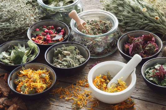 Herbal First Aid & Natural Remedies: Empowering with Simple, Natural Solutions