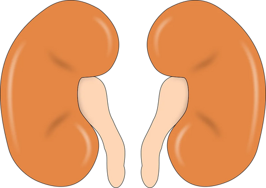 KIDNEY STONES