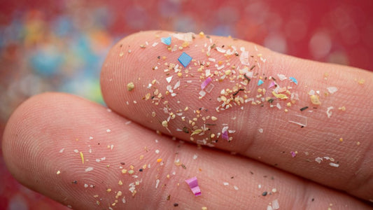 Plastics, Hormones & the Liver: Herbs for Modern Toxins