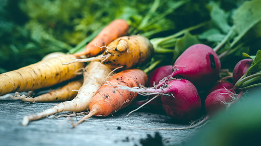 Root Medicine: Deep Nourishment for Winter Strength