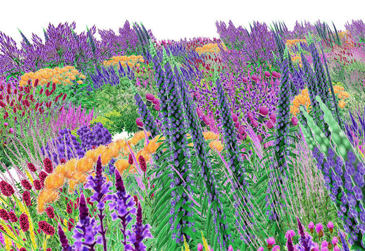 Pollinators & the Herbalist’s Duty: Planting for the Bees, Not Just Ourselves