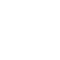 Find & Treat the Root Cause