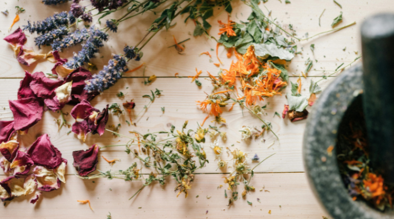 Naturopathy: Fact or Fiction