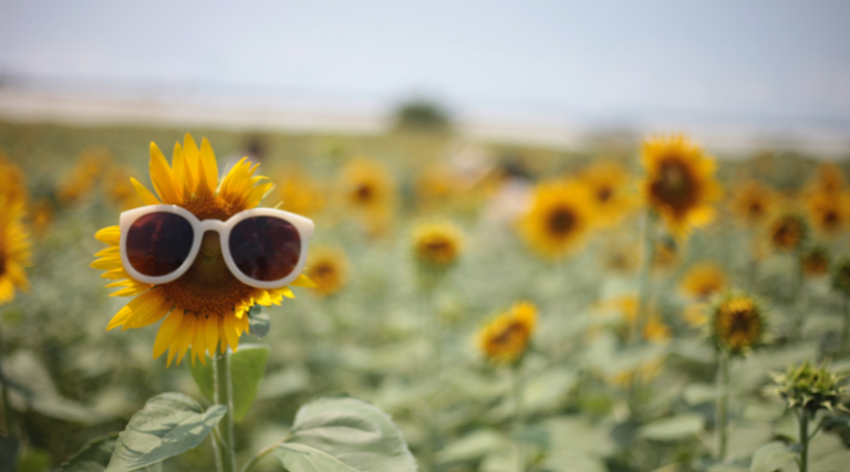 How To Beat The Summer Slump & Break The Cycle Of Fatigue