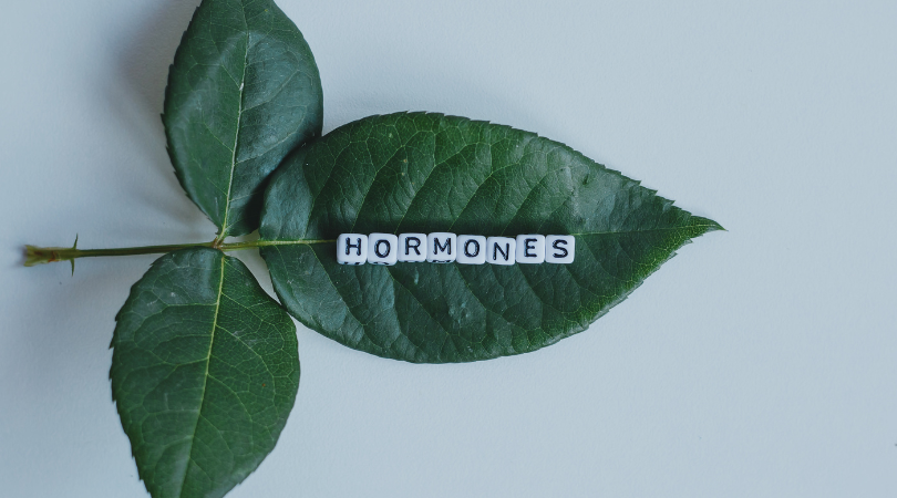 Hormonal Health: Understanding Your Body’s Chemical Messengers